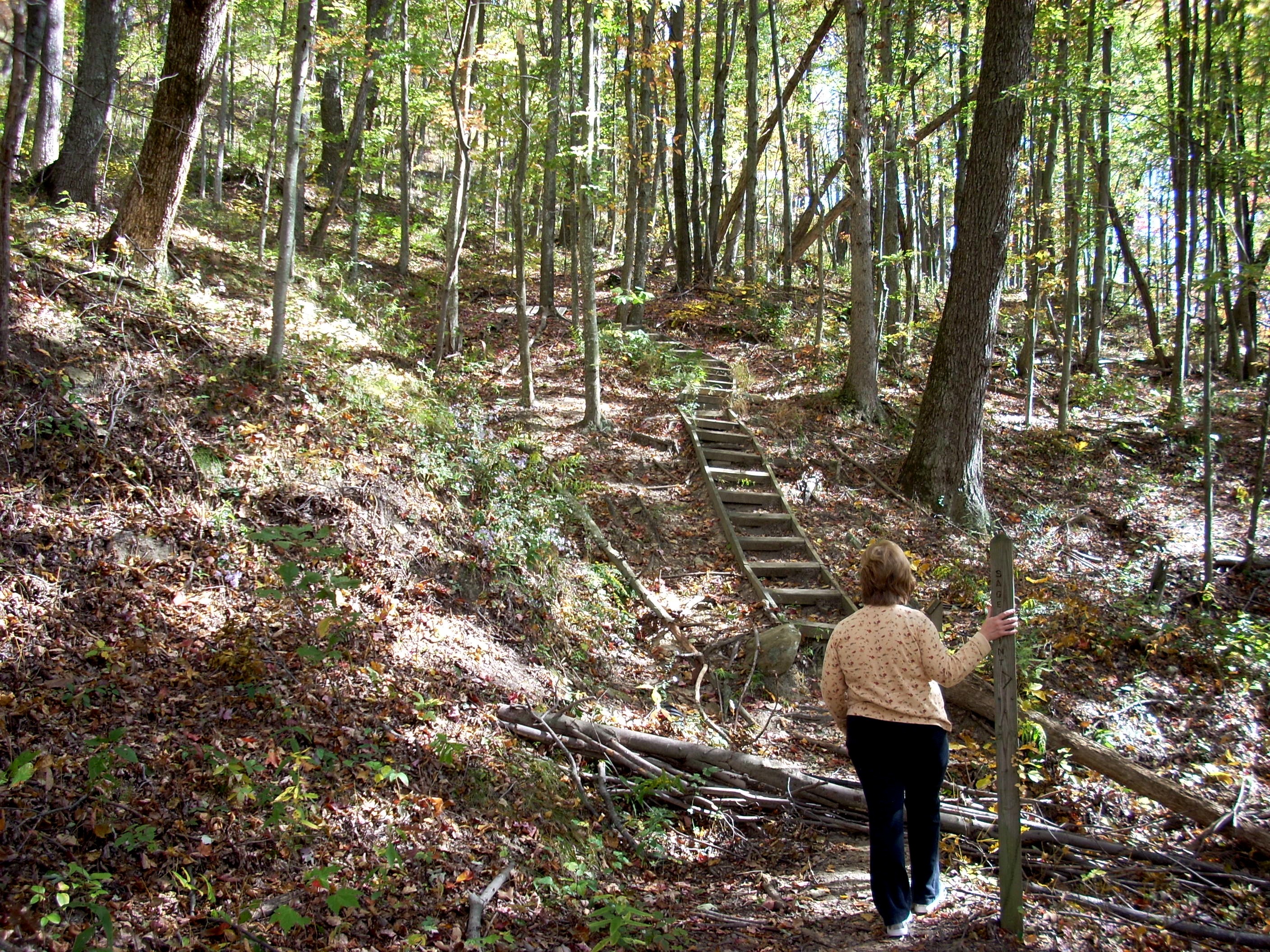 Pilot Knob Trail